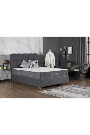 Silver 4 Mevsim Ergonomik DSC Yaylı Yatak